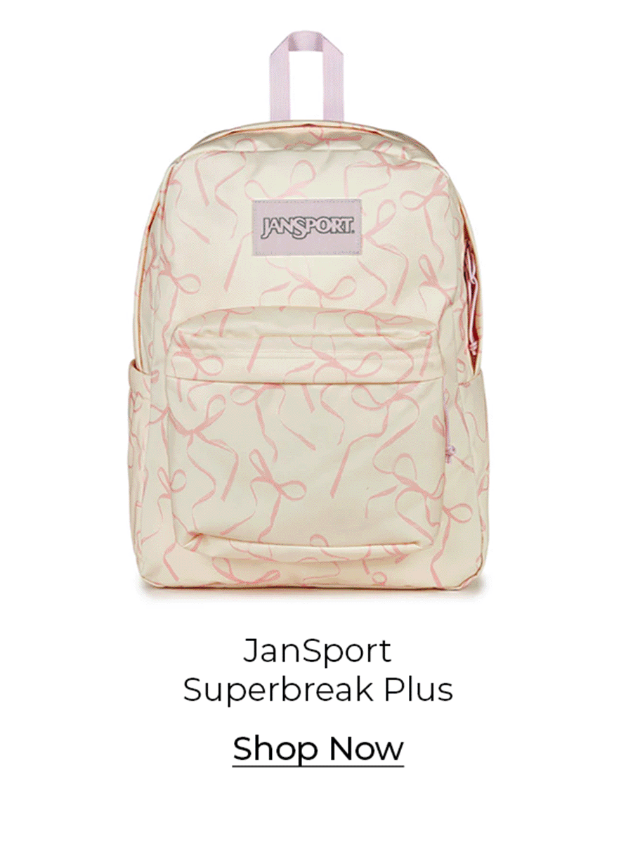 JanSport Superbreak