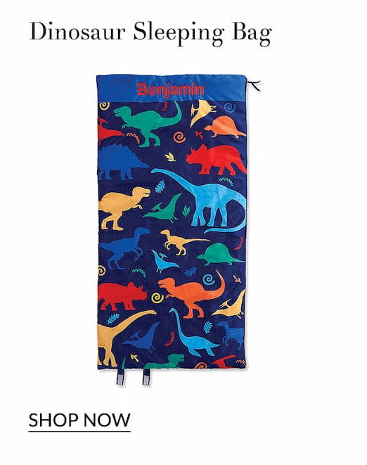 Dinosaur Sleeping Bag