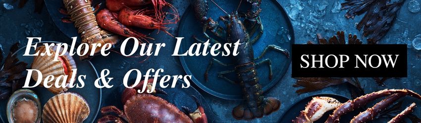 Discover our latest deals & offers