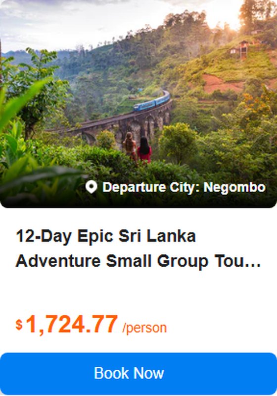 12-Day Epic Sri Lanka Adventure Small Group Tour from Negombo: Sigiriya, Kandy, Ella, Udawalawe, Talalla and Mirissa丨Sigiriya Rock Fortress and Beach 5.0 (205 reviews) Tour Code: 689868