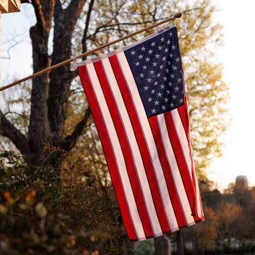 Patriarch Polyester American Flag