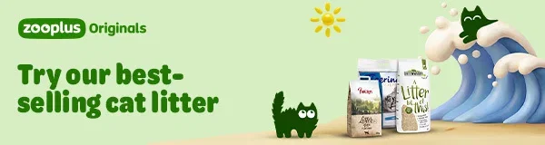 Try our best-selling cat litter