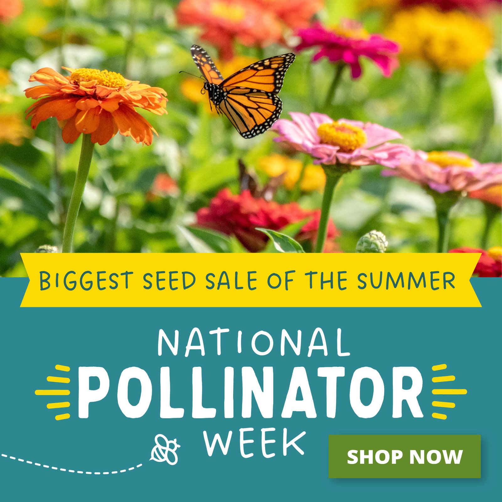 Biggest Seed Sale Of The Summer!