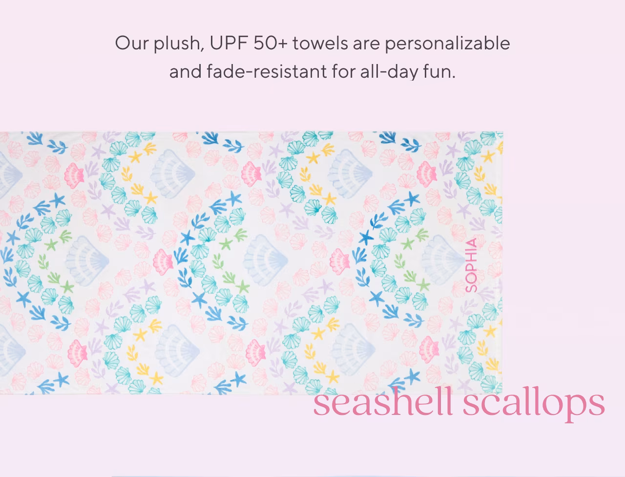 seashell scallops