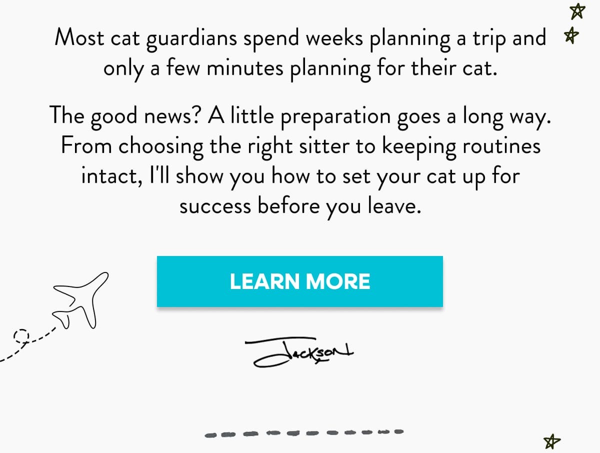From choosing the right sitter to keeping routines intact, I'll show you how to set your cat up for success before you leave.