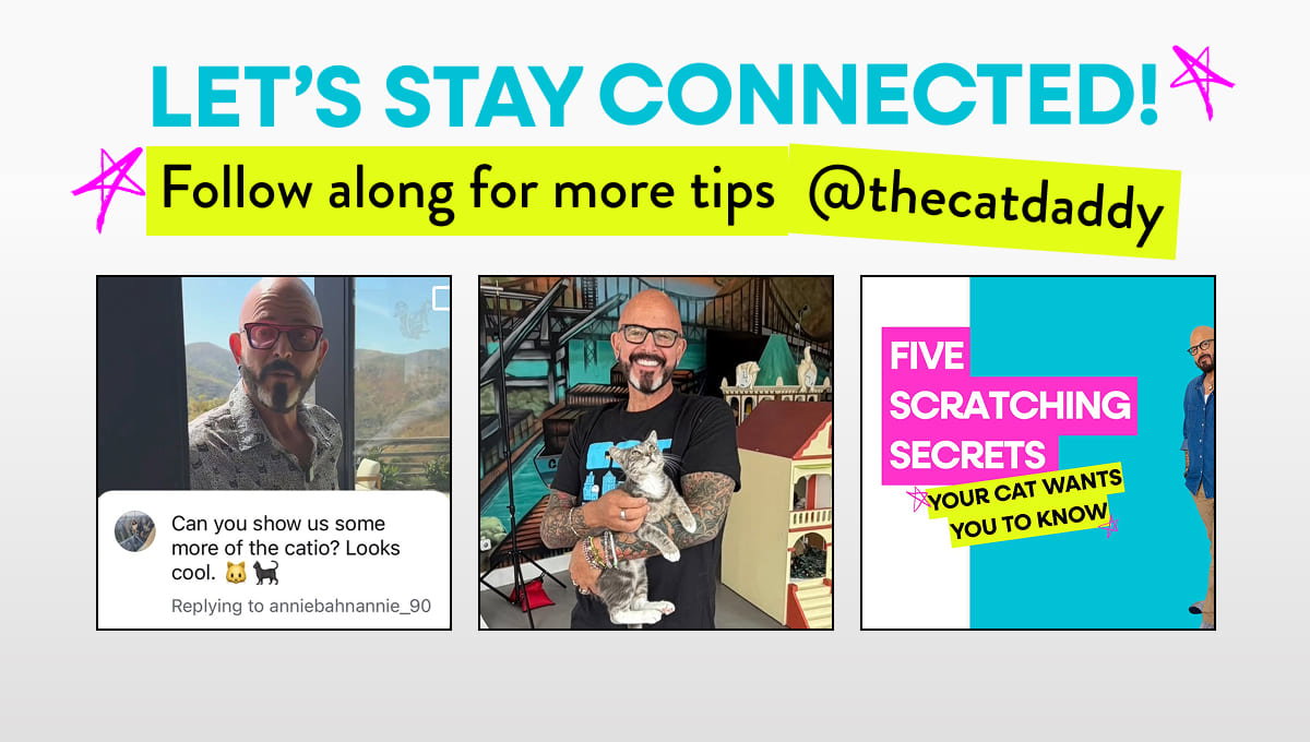 Get more tips on social