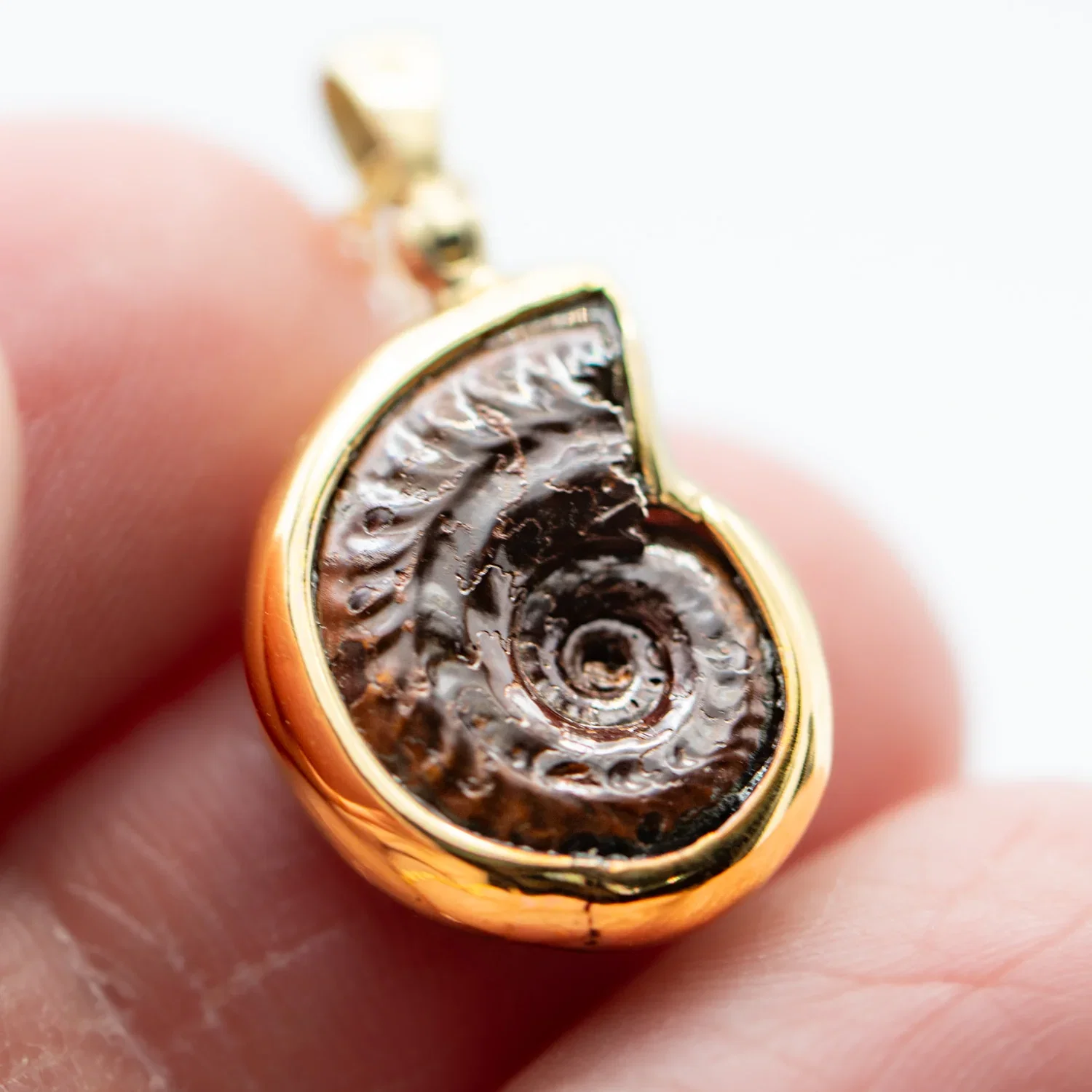 Image of Gold Ammonite Pendant - 0.727"