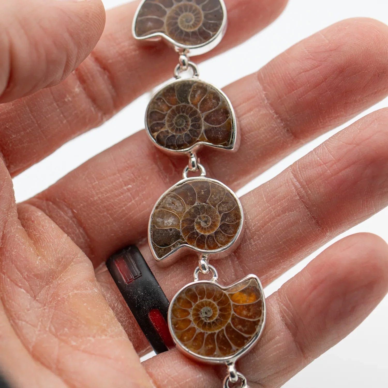 Image of Sterling Silver Ammonite Bracelet