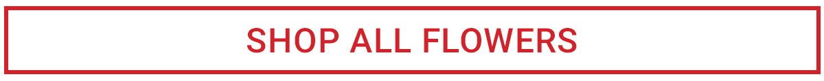SHOP ALL FLOWERS