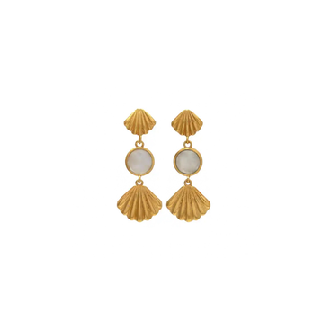 Seashell Earrings