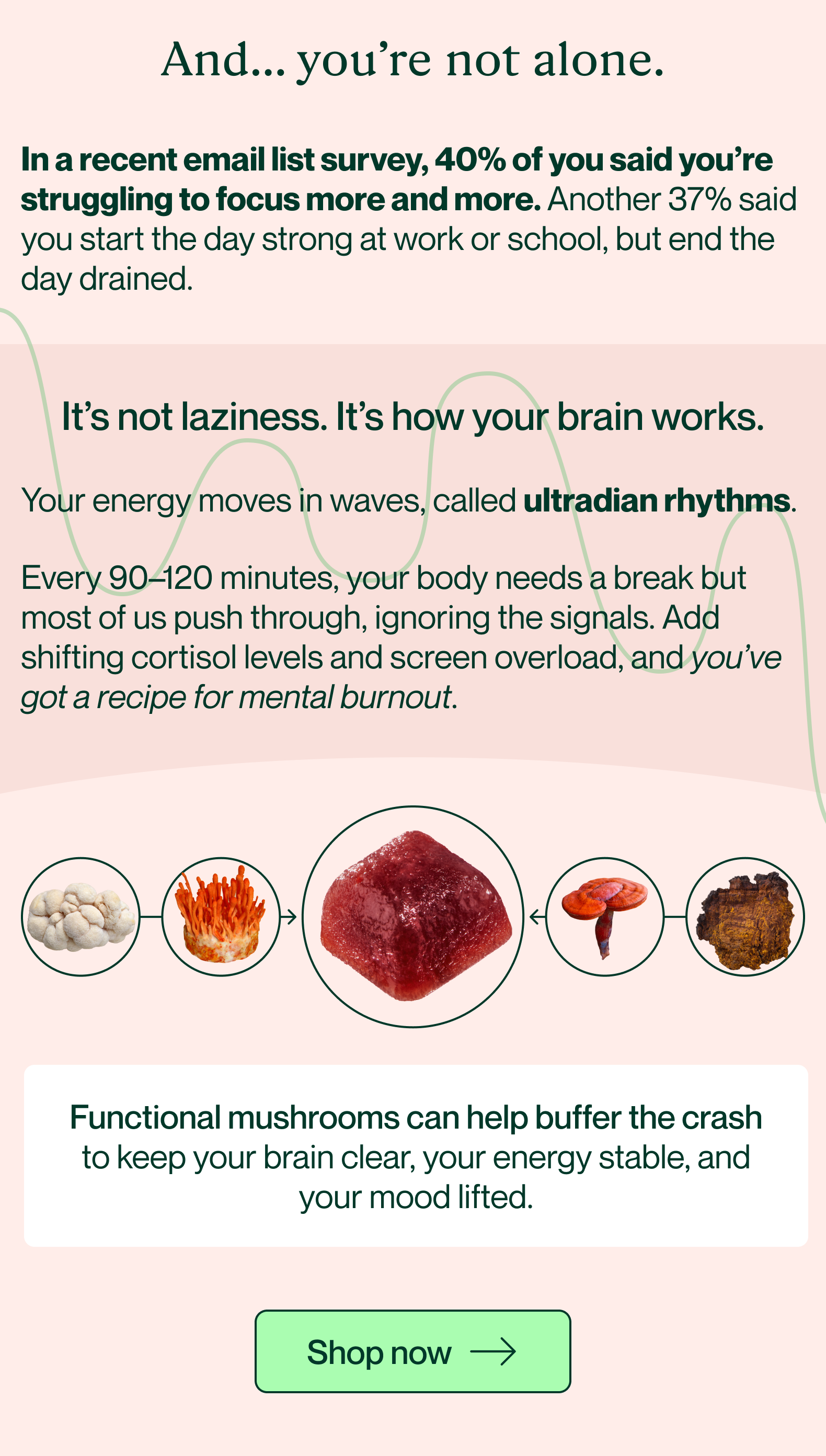 And... you're not alone. It's not laziness. It's how your brain works. [Shop now →]