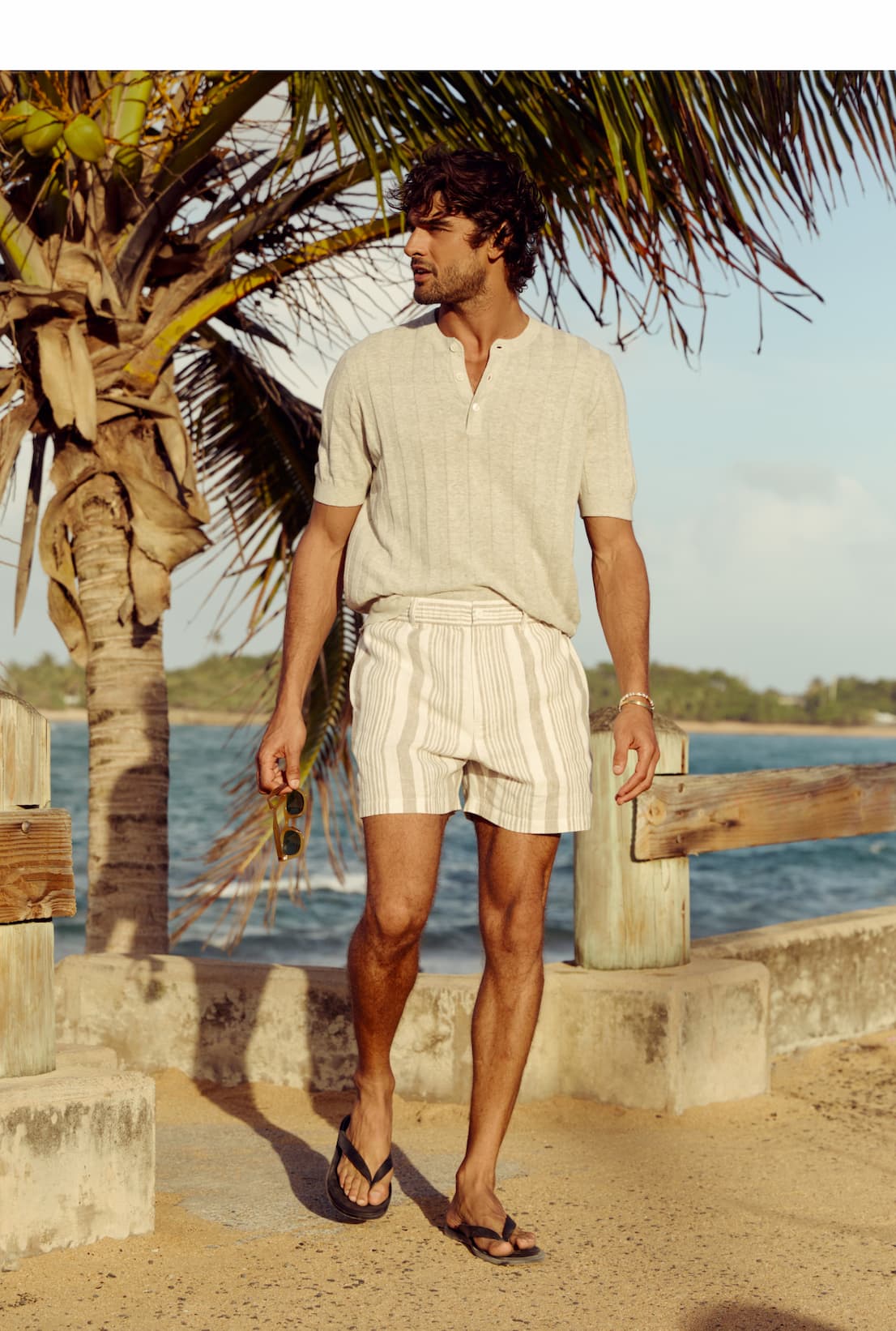 Gray Beachcomber