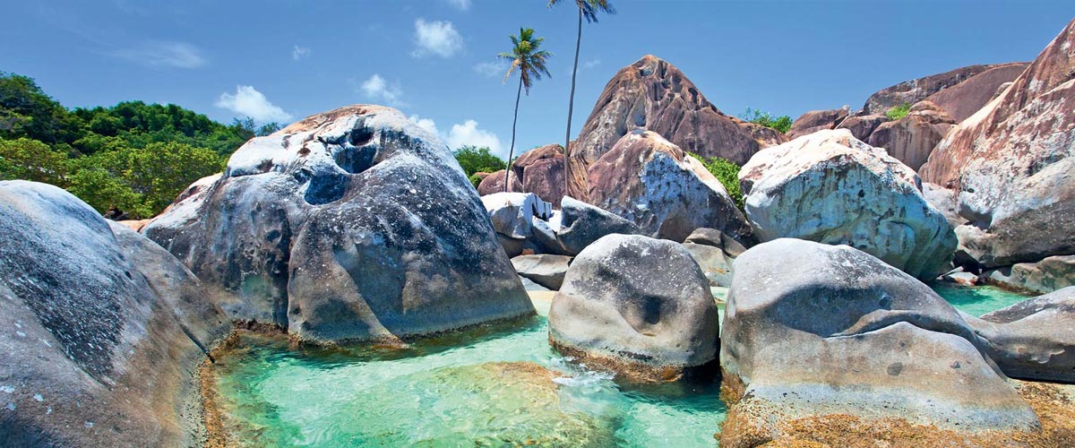 Vibes of the Virgin Islands
