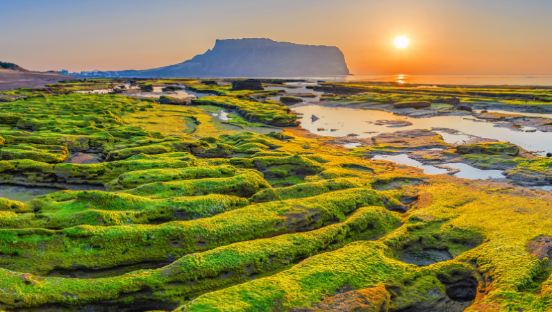 Jeju Island