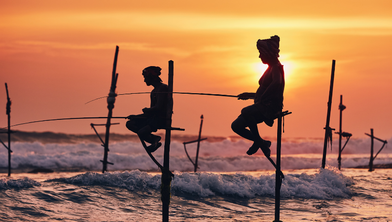 Stilt Fisherman, Sri Lanka