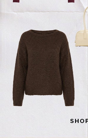 Brown Loose Long Sleeve Boat Neck Knit