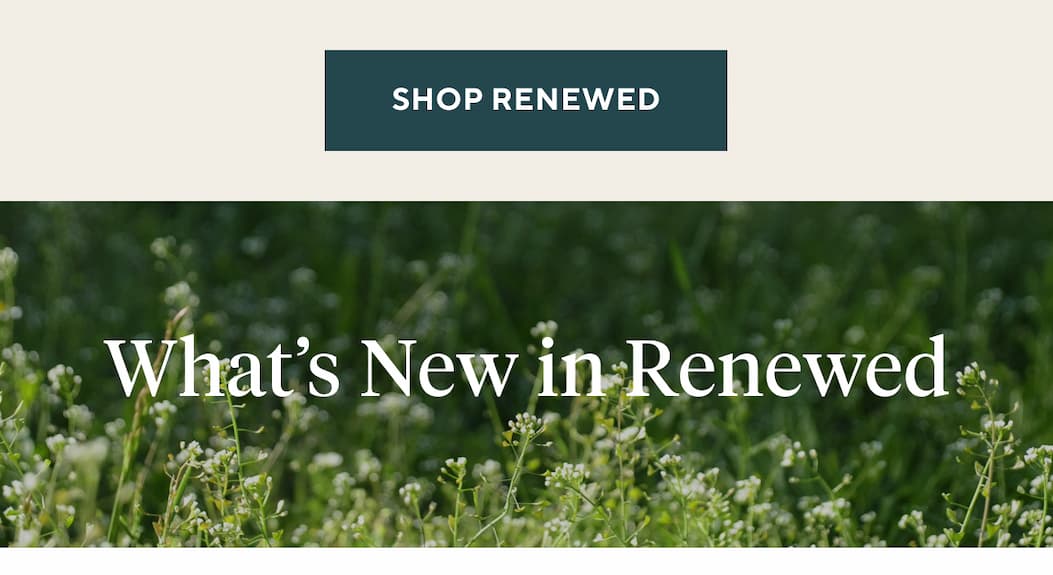 Shop Renewed What's New in Renewed