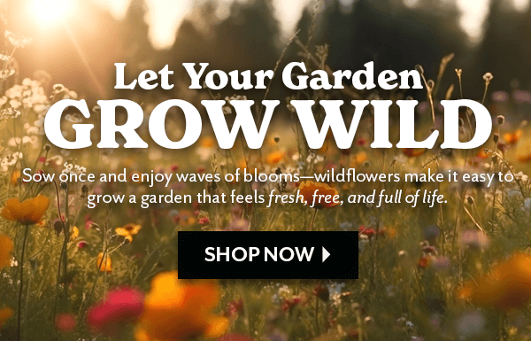 LET YOUR GARDEN GROW WILD