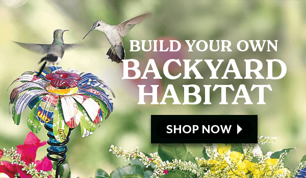 Build Your Own Backyard habitat