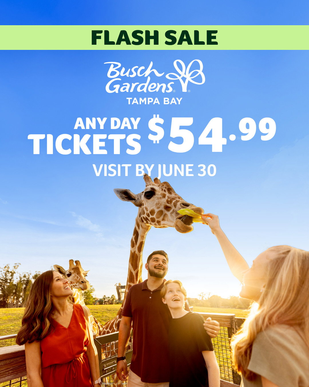 Flash Sale: Busch Gardens Tampa Bay: Any Day Tickets $54.99. Visit By June 30