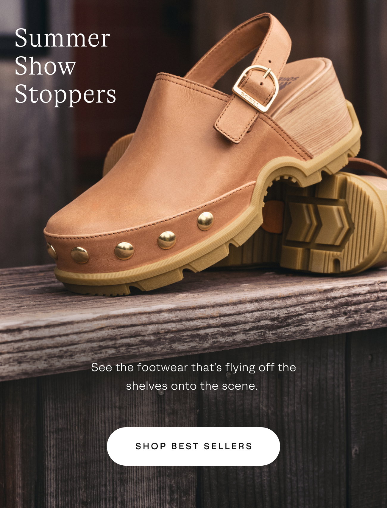 Summer Show Stoppers - Shop Best Sellers