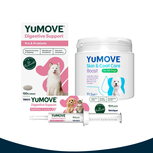 YuMOVE