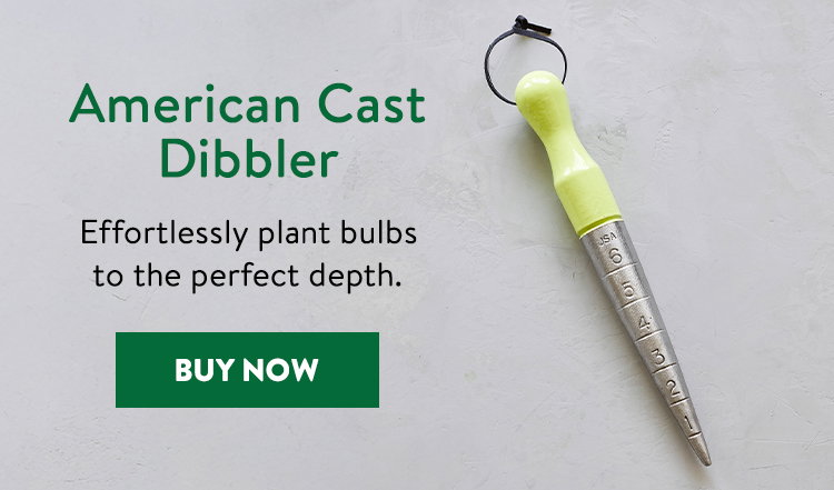 Burpee American Cast Dibbler