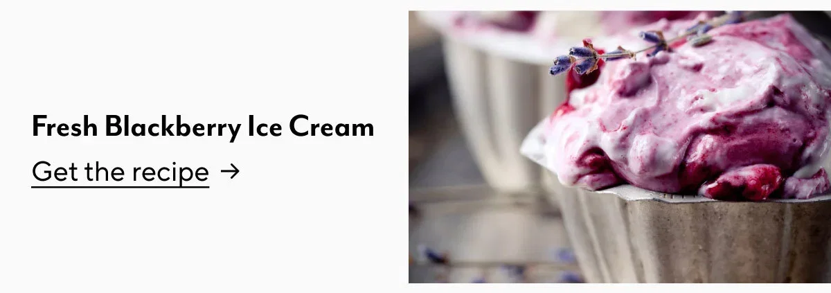 Fresh Blackberry Ice Cream