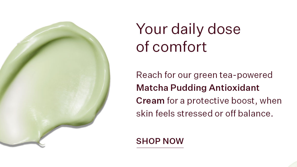 Matcha Pudding Antioxidant Cream