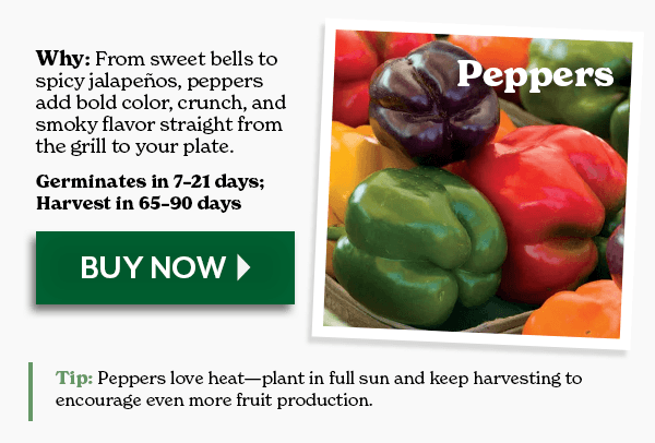 PEPPERS