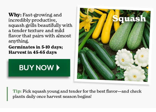 SQUASH
