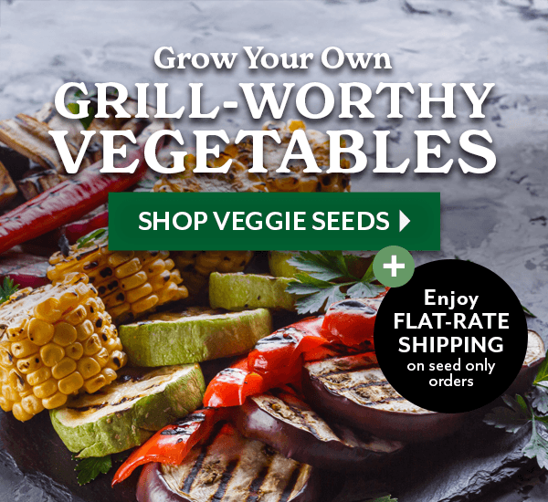 GROW YOUR OWN GRILL-WORTHY VEGETABLES