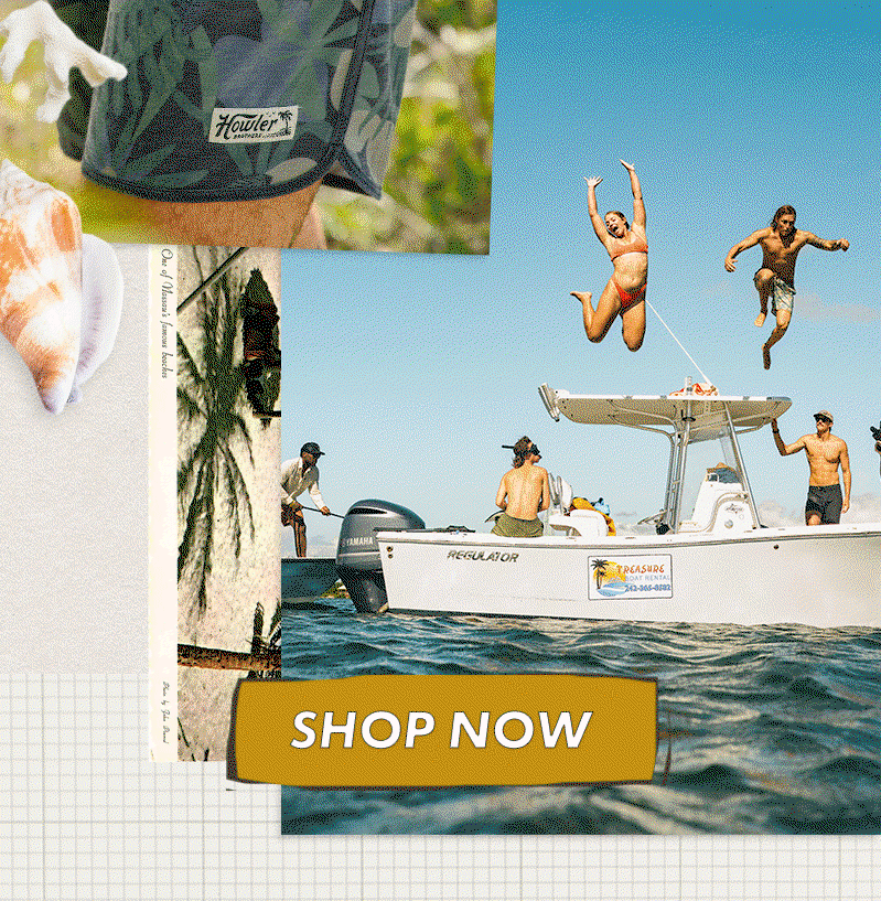 Shop Now