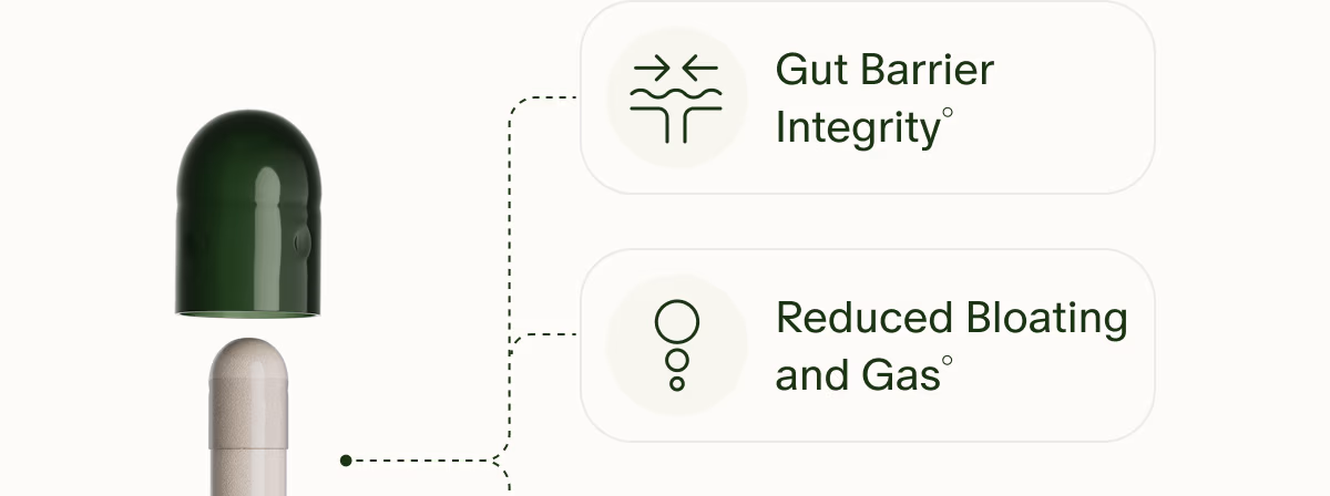 Gut Barrier Integrity° | Reduced Bloating and Gas°