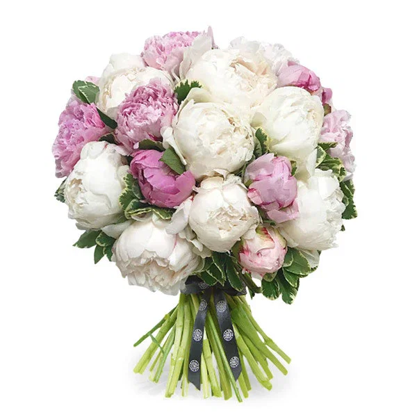 Image of Peonies in the Sky