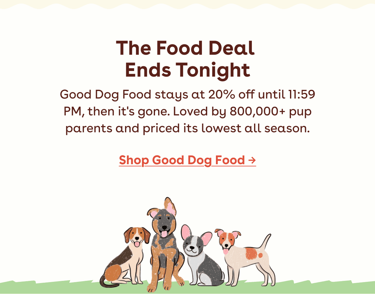 Shop good dog food 