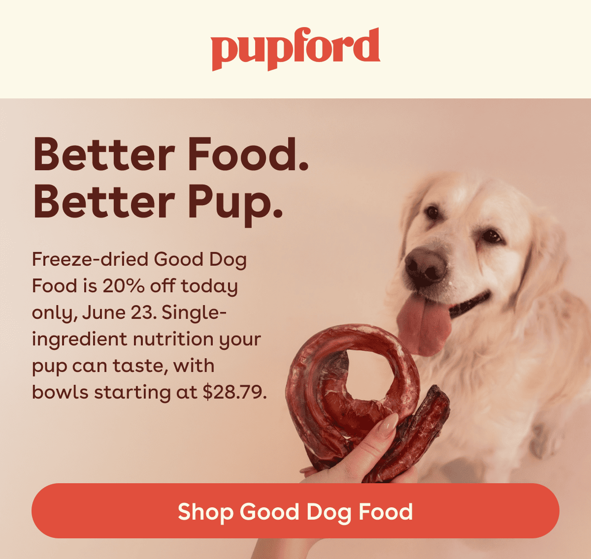 Shop good dog food 