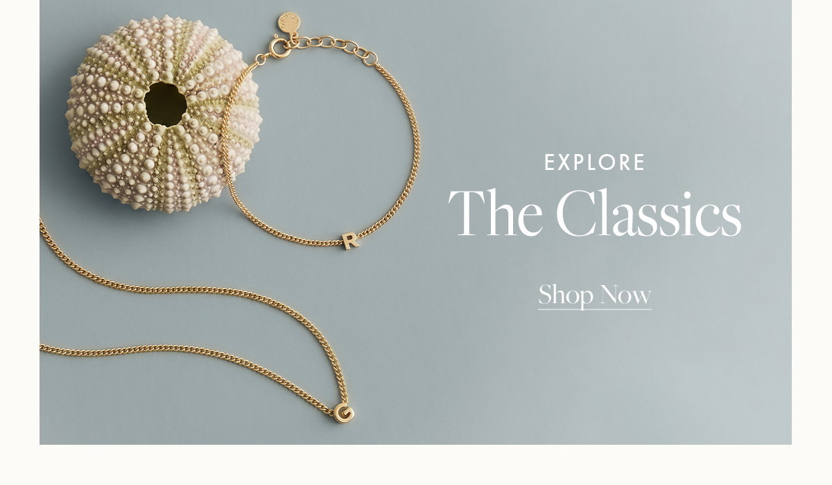 The Classics Shop Now