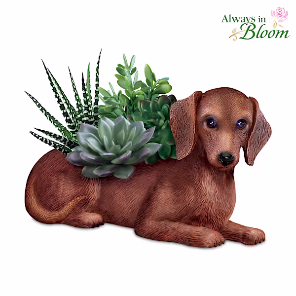 Dachshund Planter with Always in Bloom® Succulents