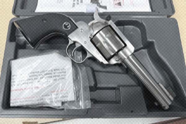 Ruger Blackhawks