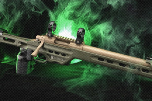 Bolt Action Rifles