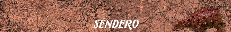 Sendero Provisions Co.