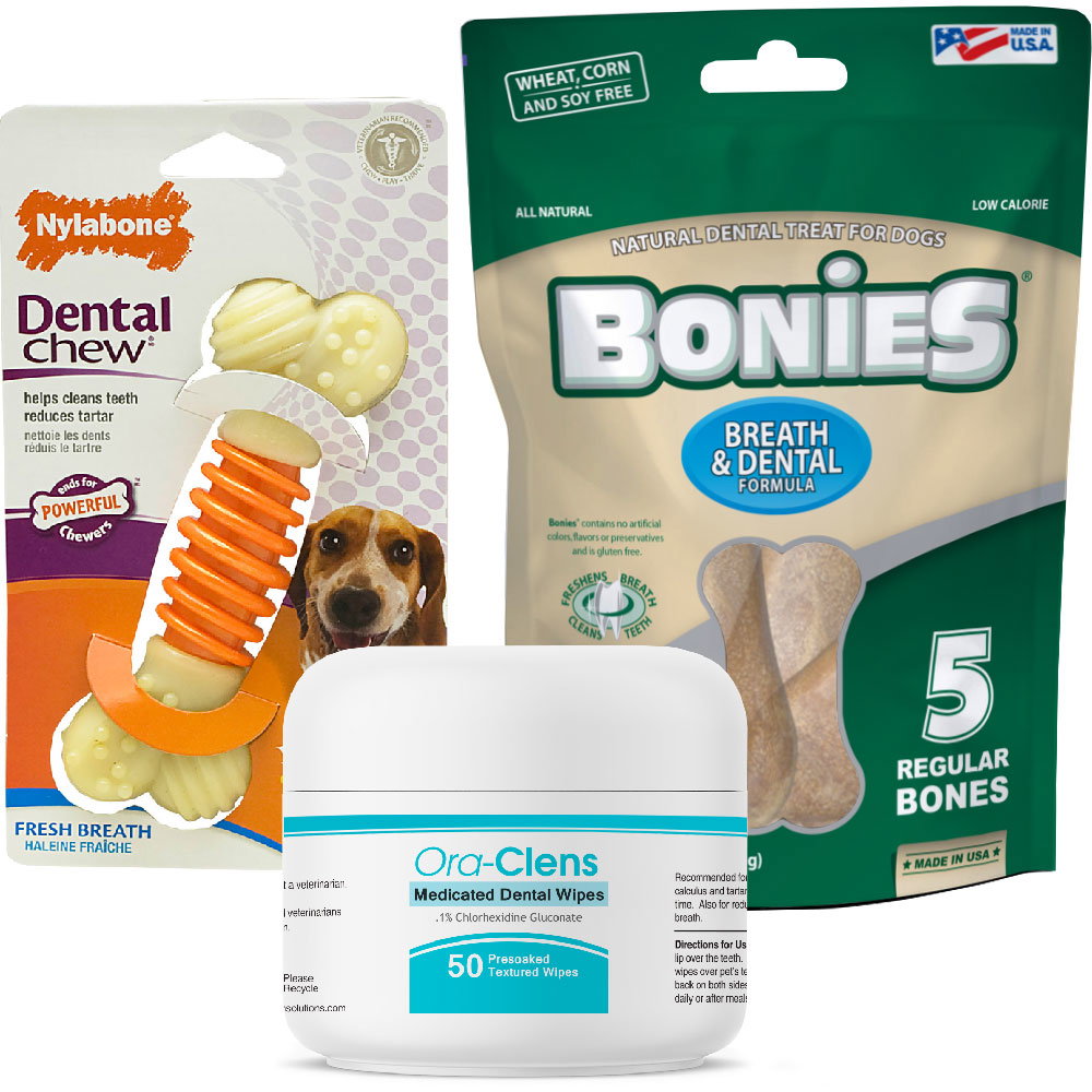 Image of Dental Kit for Dogs