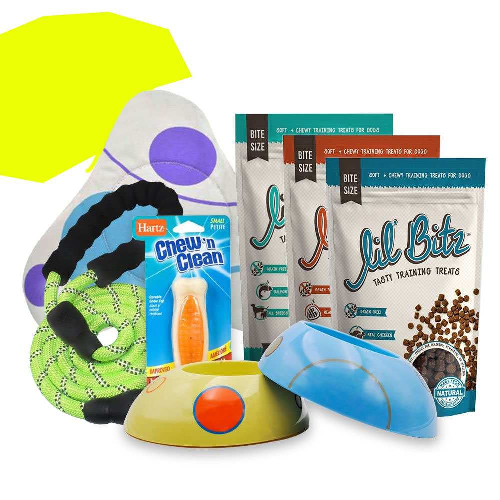 Image of New Dog Starter Kit