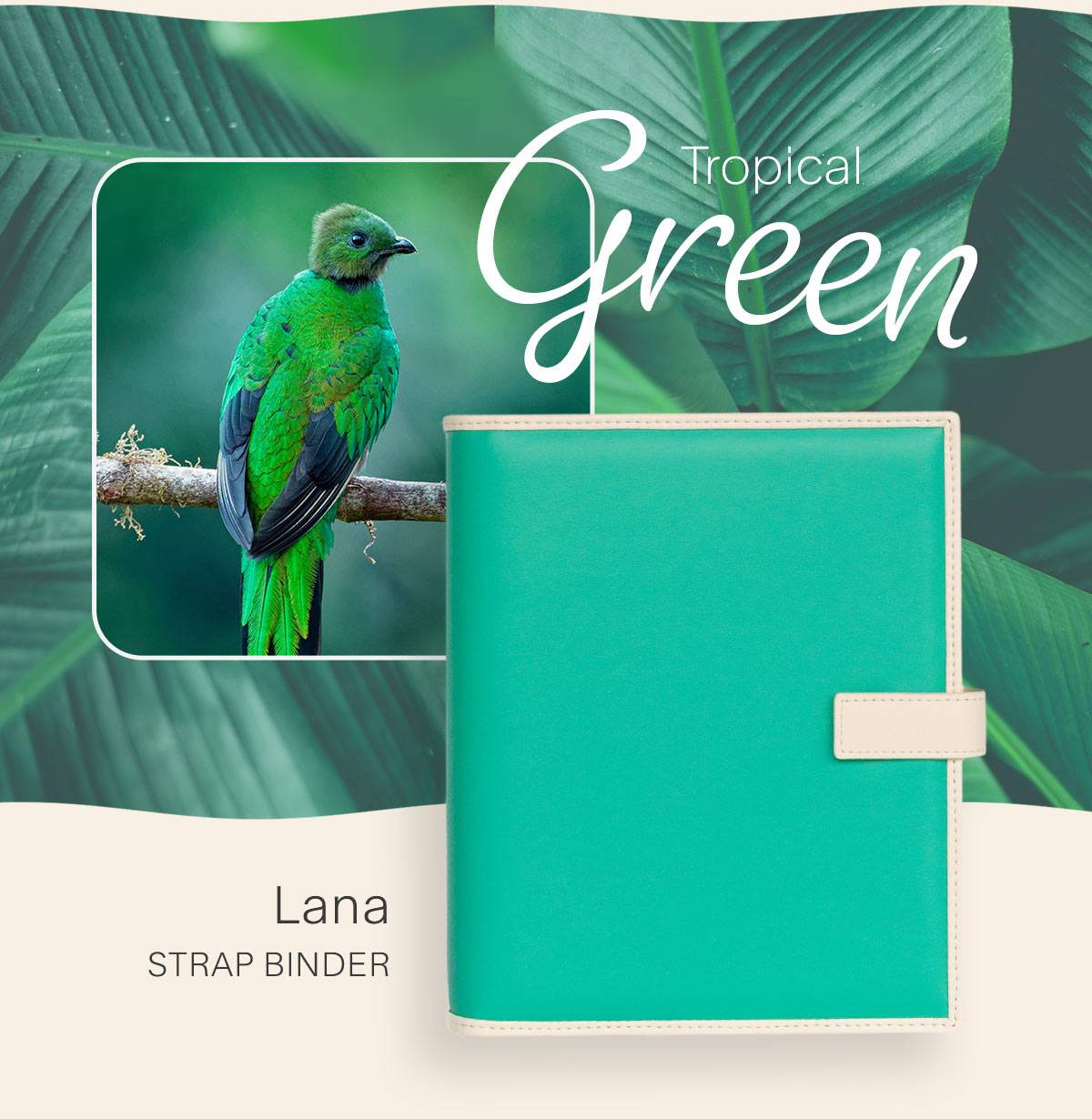 Tropical Green - Lana Strap Binder.