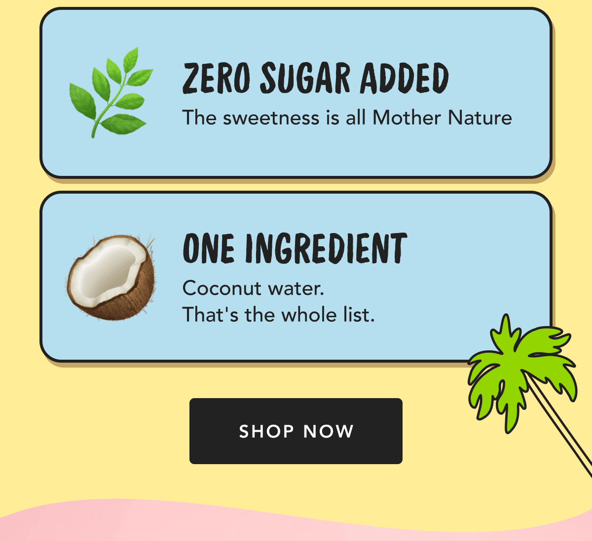 Zero Sugar Added - The sweetness is all Mother Nature | One Ingredient - Coconut Water. That's the whole list. | Shop Now