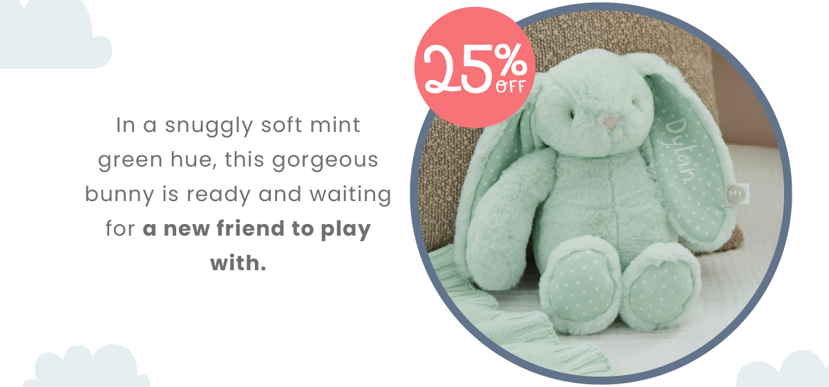 Personalised Mint Choc Chip Bunny Soft Toy