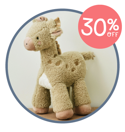 Personalised Giraffe Plush Toy
