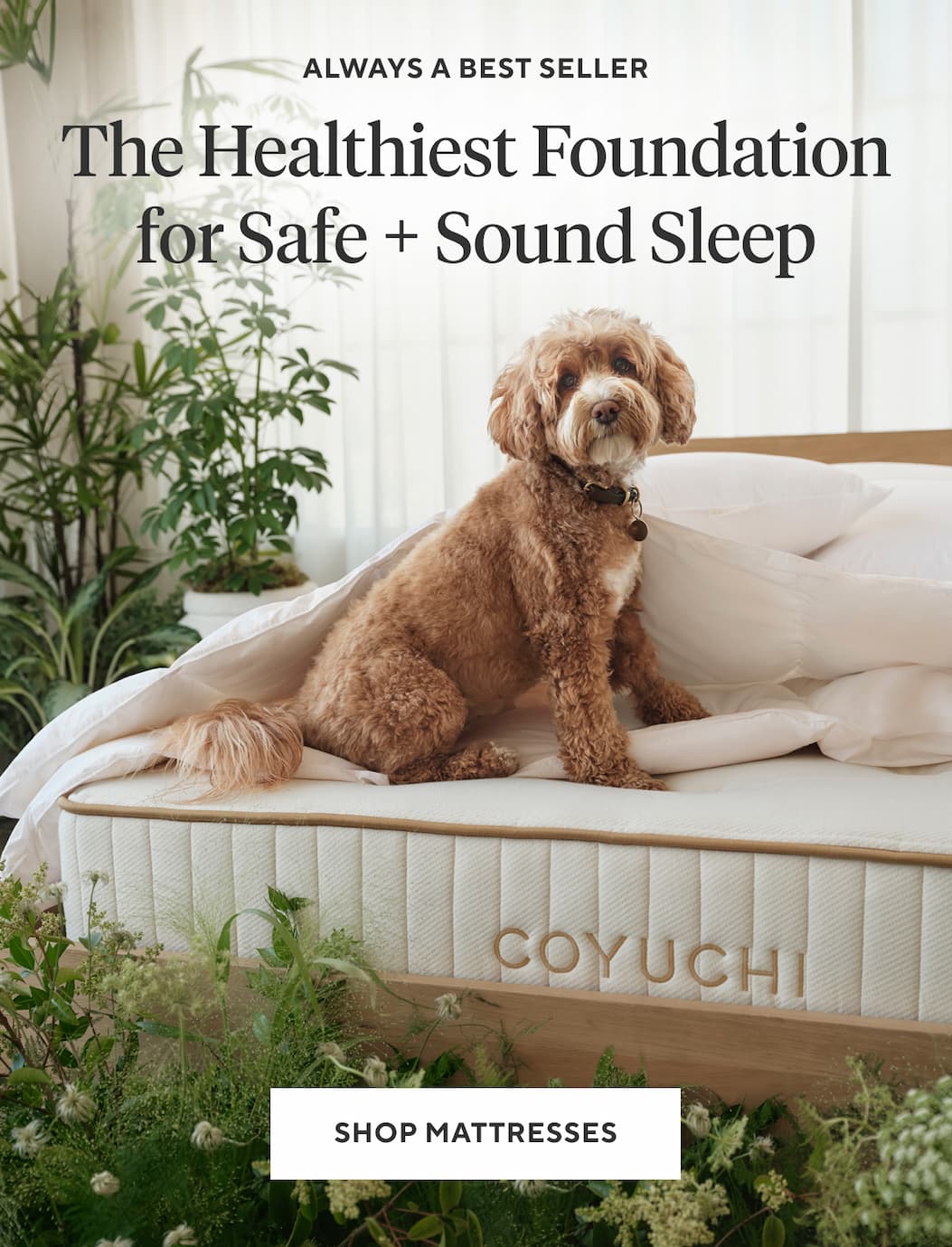 Always a Best Seller The Healthiest Foundation for Safe + Sound Sleep Shop the Natural REM Mattress >