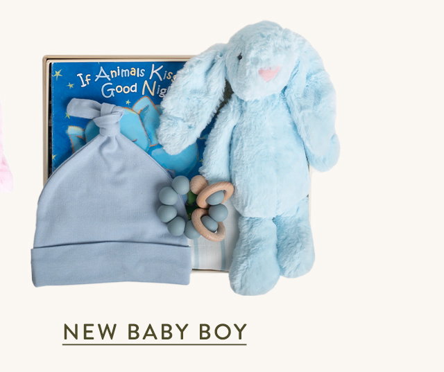 Shop New Baby Boy Box